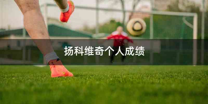 扬科维奇个人成绩