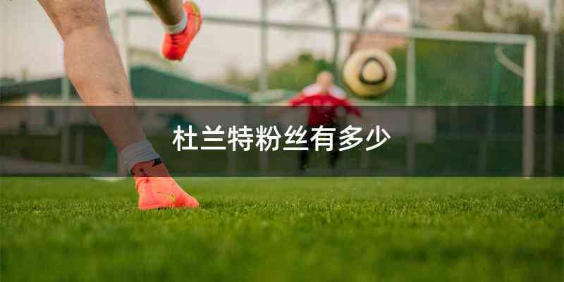 杜兰特粉丝有多少