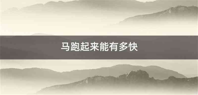 马跑起来能有多快