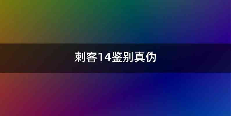 刺客14鉴别真伪