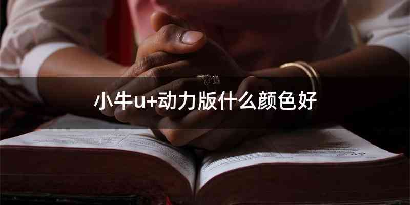 小牛u+动力版什么颜色好