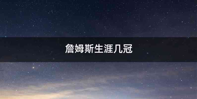 詹姆斯生涯几冠