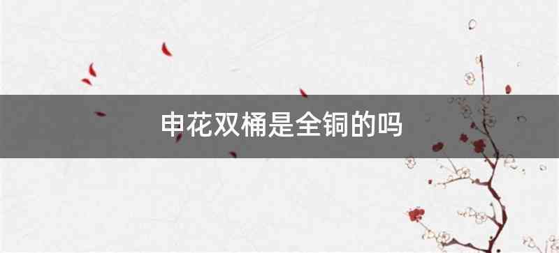 申花双桶是全铜的吗