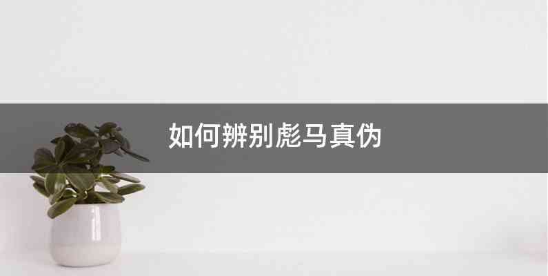 如何辨别彪马真伪