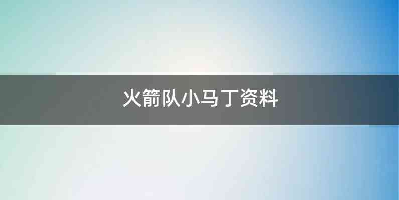 火箭队小马丁资料