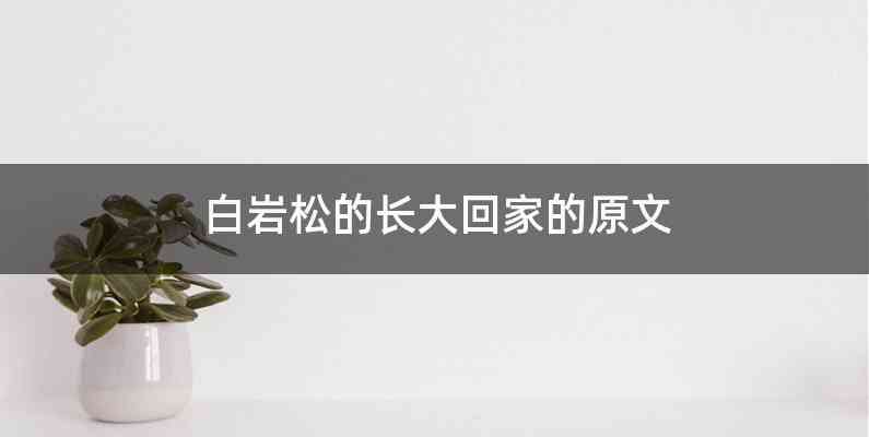 白岩松的长大回家的原文