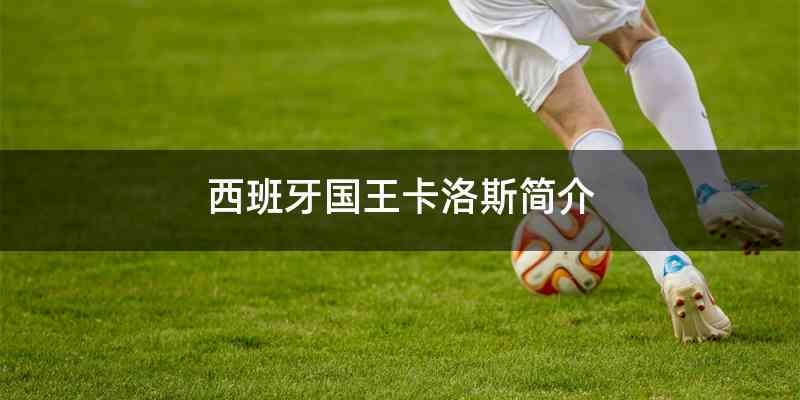 西班牙国王卡洛斯简介