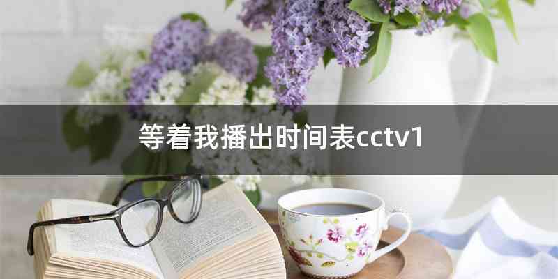 等着我播出时间表cctv1