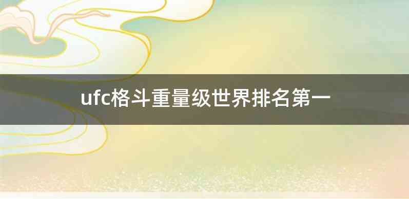 ufc格斗重量级世界排名第一