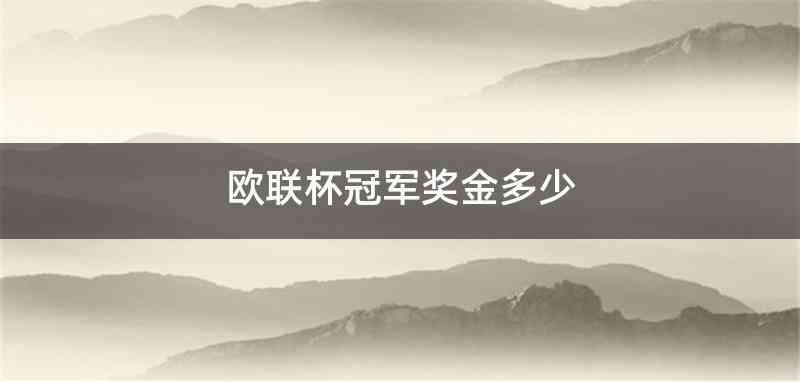 欧联杯冠军奖金多少