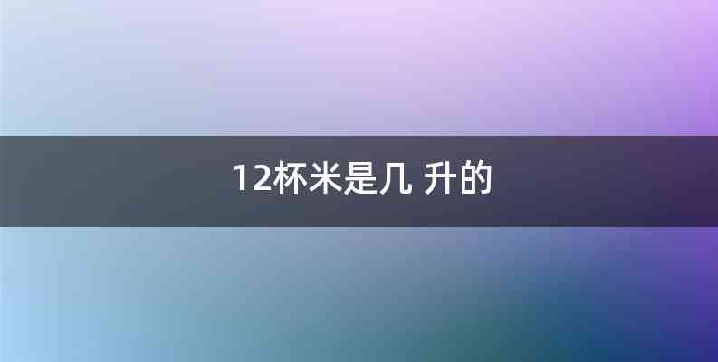 12杯米是几 升的