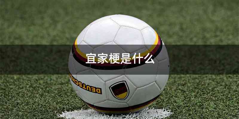 宜家梗是什么