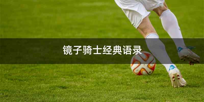 镜子骑士经典语录