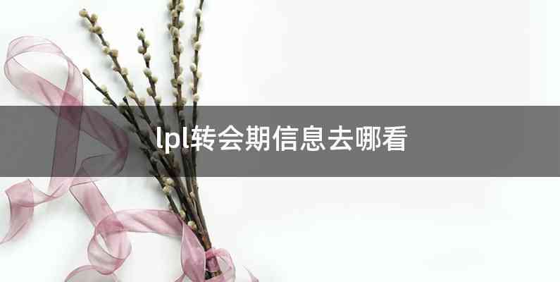 lpl转会期信息去哪看