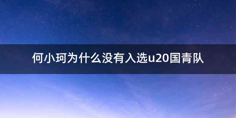 何小珂为什么没有入选u20国青队