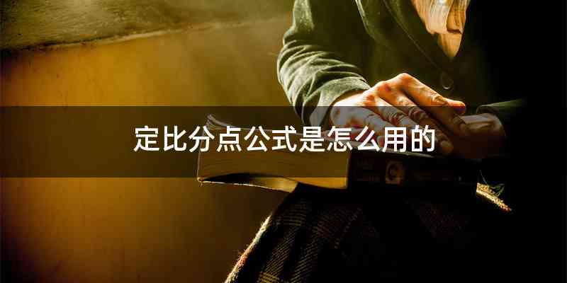 定比分点公式是怎么用的