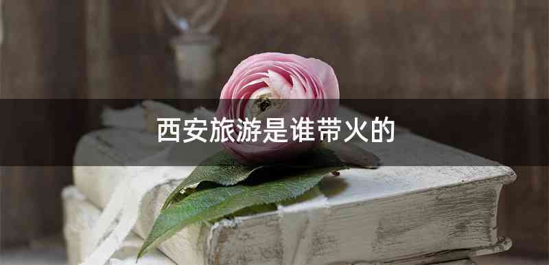 西安旅游是谁带火的