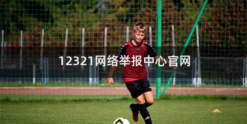 12321网络举报中心官网