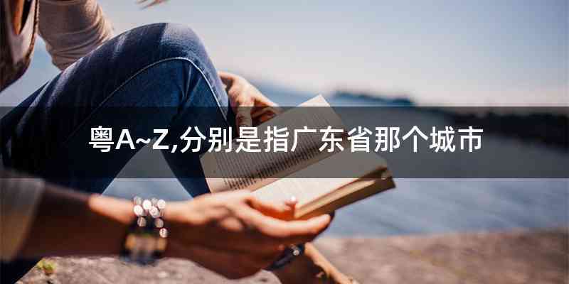 粤A~Z,分别是指广东省那个城市