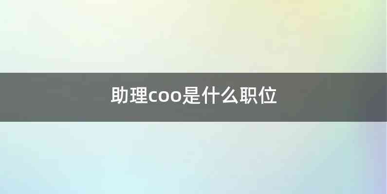 助理coo是什么职位