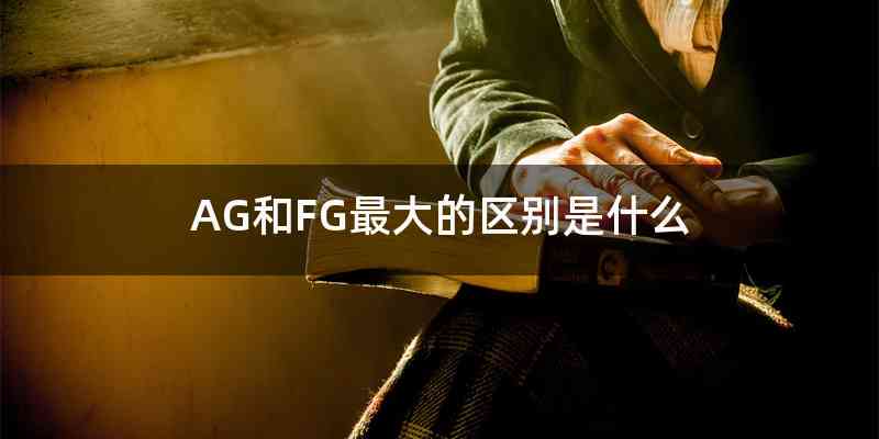 AG和FG最大的区别是什么