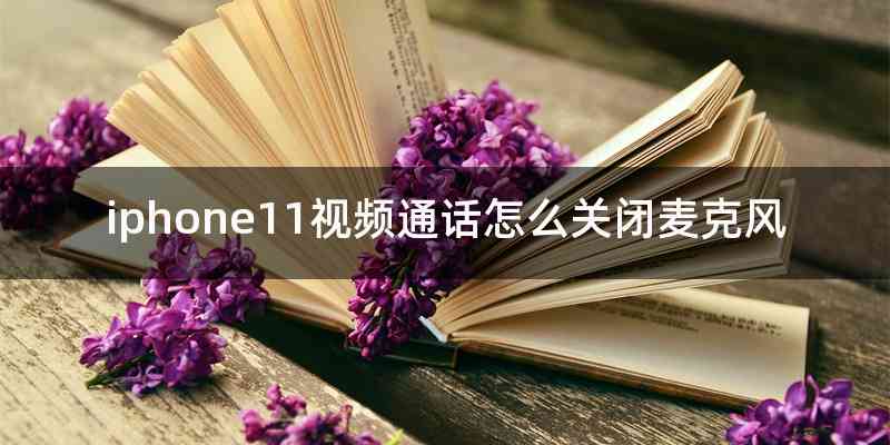 iphone11视频通话怎么关闭麦克风