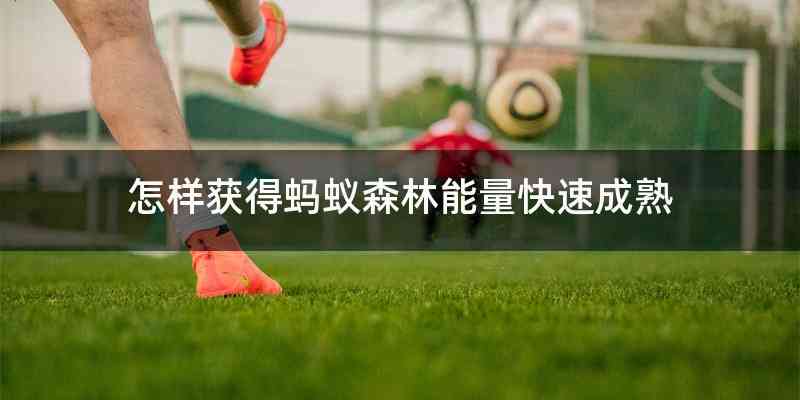 怎样获得蚂蚁森林能量快速成熟