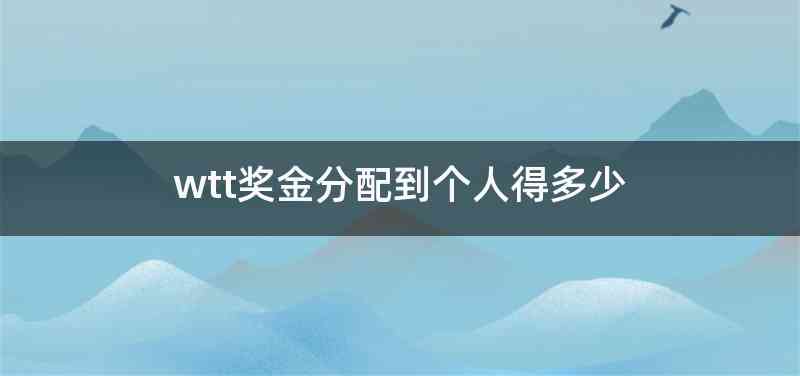 wtt奖金分配到个人得多少