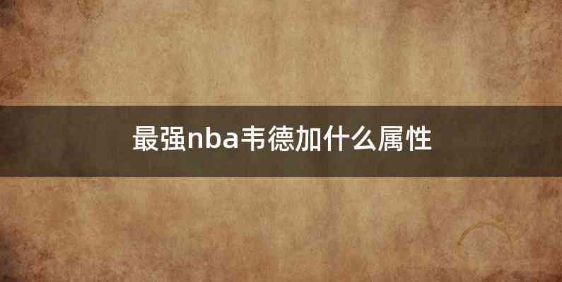 最强nba韦德加什么属性