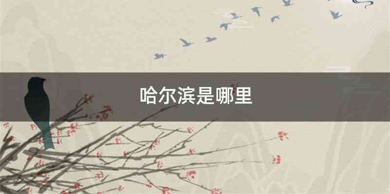 哈尔滨是哪里