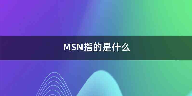 MSN指的是什么