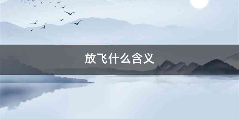 放飞什么含义