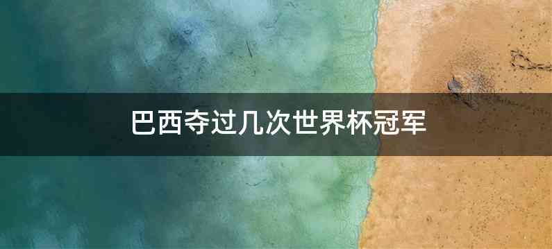 巴西夺过几次世界杯冠军