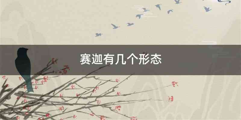 赛迦有几个形态