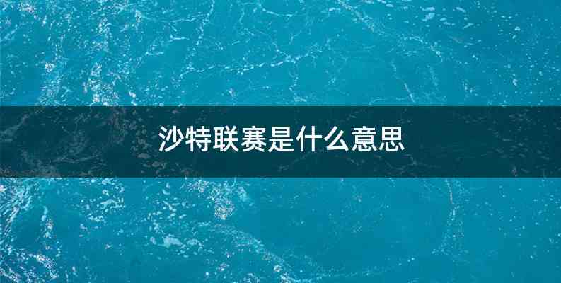 沙特联赛是什么意思