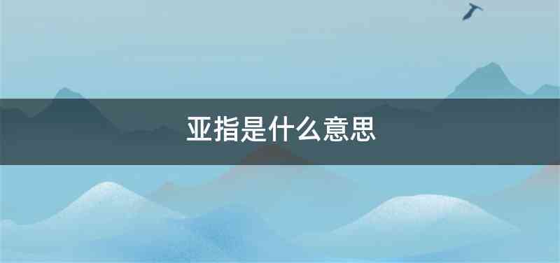 亚指是什么意思