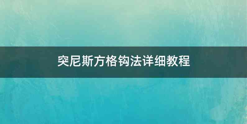 突尼斯方格钩法详细教程