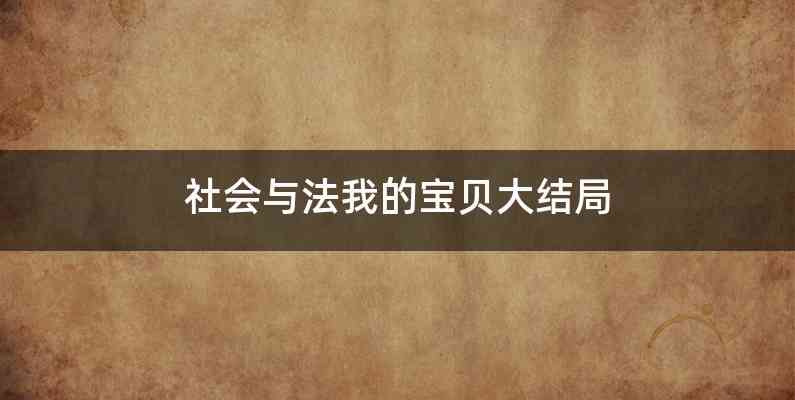社会与法我的宝贝大结局