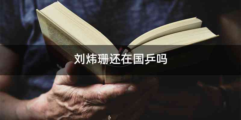 刘炜珊还在国乒吗