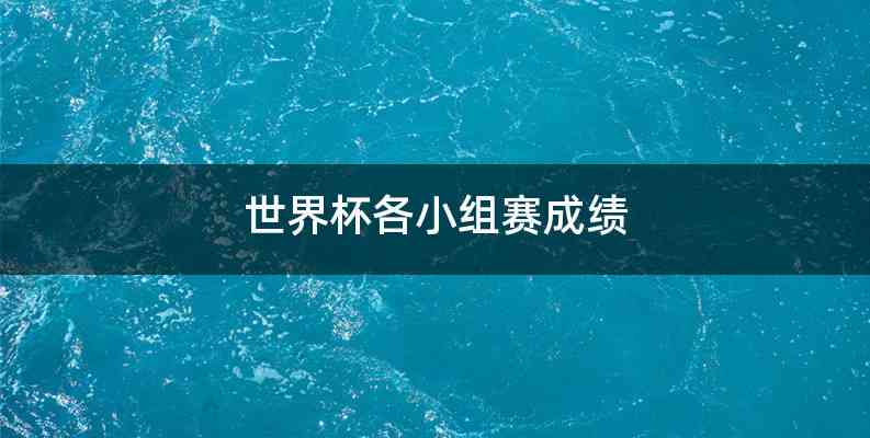 世界杯各小组赛成绩