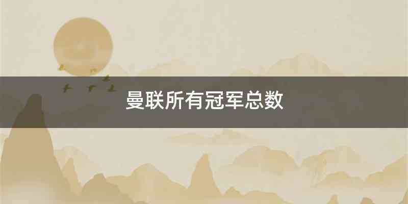 曼联所有冠军总数