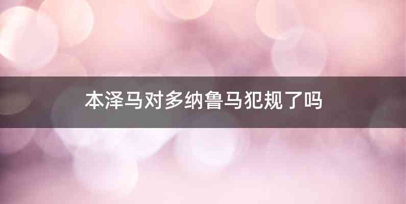 本泽马对多纳鲁马犯规了吗