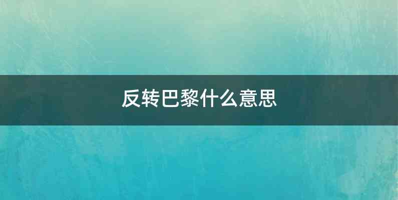 反转巴黎什么意思