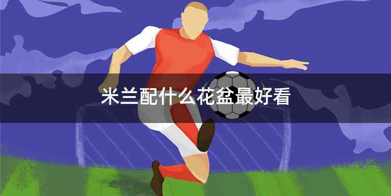 米兰配什么花盆最好看