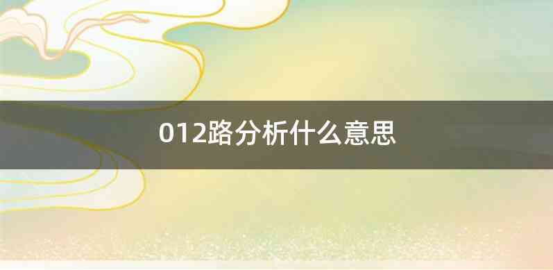 012路分析什么意思