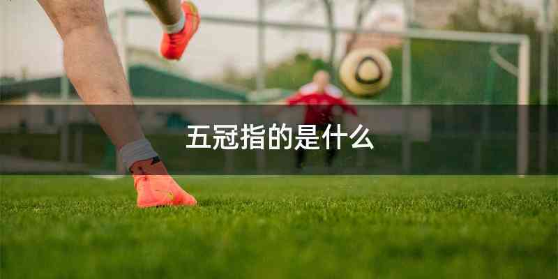 五冠指的是什么