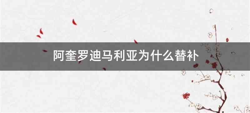 阿奎罗迪马利亚为什么替补