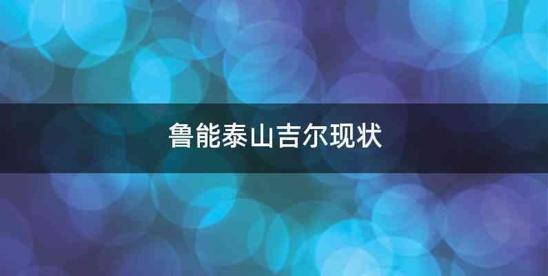 鲁能泰山吉尔现状
