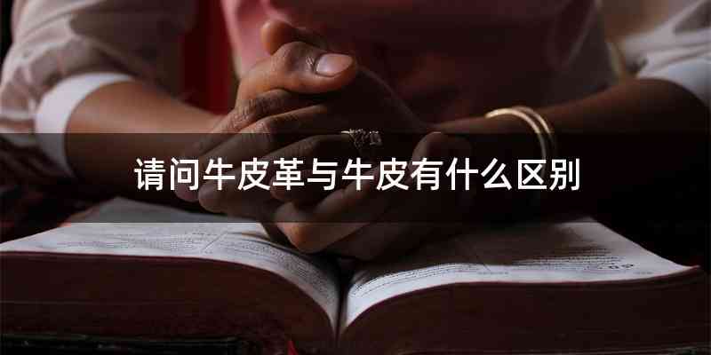 请问牛皮革与牛皮有什么区别