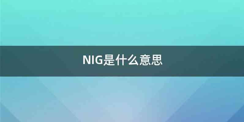 NIG是什么意思